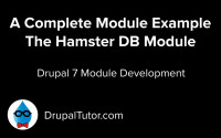 The Hamster Database Module The Hamster Database Module