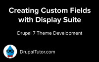 Display Suite Custom Fields