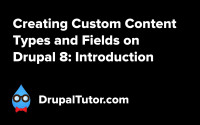 Custom Content Types and Fields: Introduction Custom Content Types and Fields: Introduction