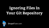 Ignoring Files Ignoring Files