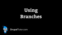 Using Branches Using Branches
