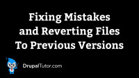 Fixing Mistakes and Reverting Files Fixing Mistakes and Reverting Files